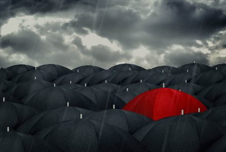 Welcome To Our New Website